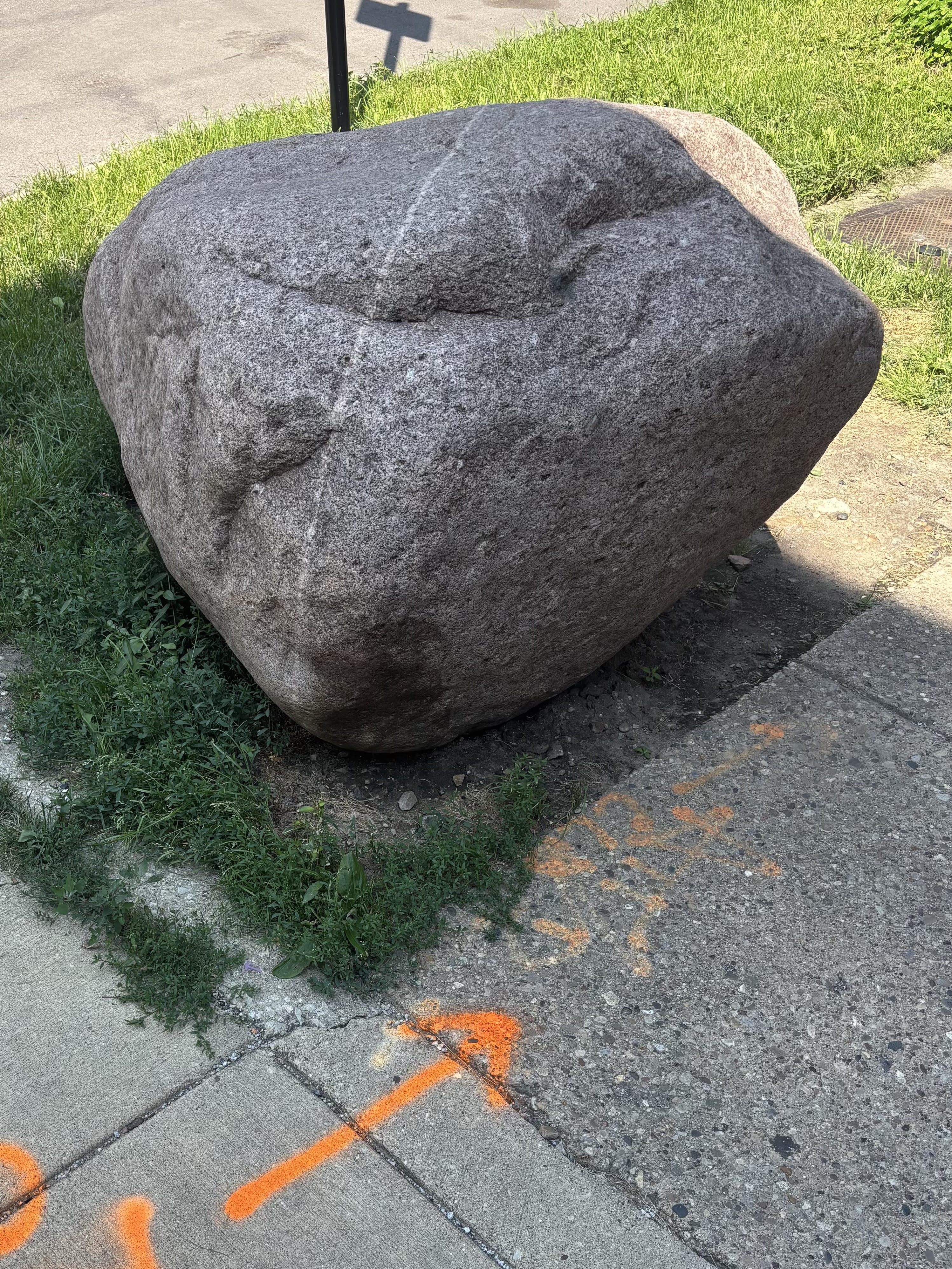 Margaret Crowley & Zander Raymond